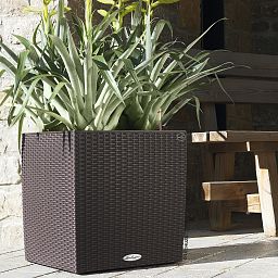 LECHUZA CUBE Cottage Square Poly Resin Self-watering Planter