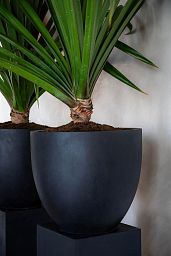 Round Egg Fiberstone Planter by Idealist Premium