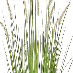 Dogtail with Pot Artificial Grass Plant