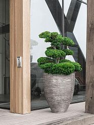 Polystone Coated Khalif Round Indoor Planter