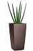 Sansevieria Micado in LECHUZA CUBICO Self-watering Planter, Total Height 60 cm