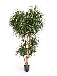 Dracaena Reflexa Jamaica Artificial Tree Plant