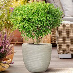 IDEALIST Lite Wave Style Outdoor Egg Planter