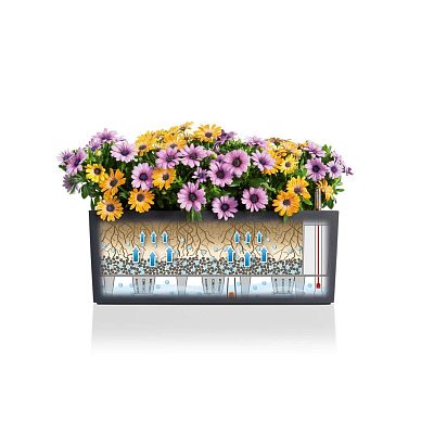 LECHUZA BALCONERA Cottage Trough Poly Resin Self-watering Planter Set