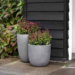 Tall Resin Planter by Cadix Capi Tutch Round