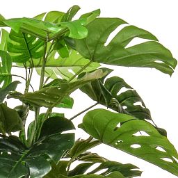 Monstera Artificial Tree Plant