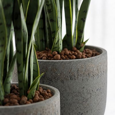 Cement & Stone Round Planter | Indoor and Outdoor Plant Pot
