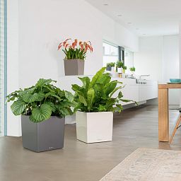 LECHUZA CUBE Square Poly Resin Self-watering Planter