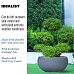 Classic Smooth Bowl Outdoor Planter by Idealist Lite