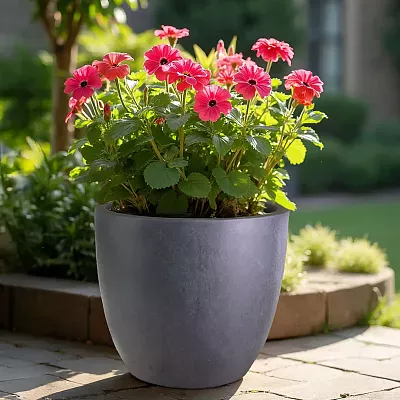 IDEALIST Lite Contemporary Light Concrete Egg Planter