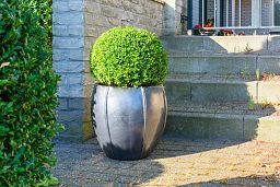 Ceramic Round Lined Glossy Planter Pot In/Out