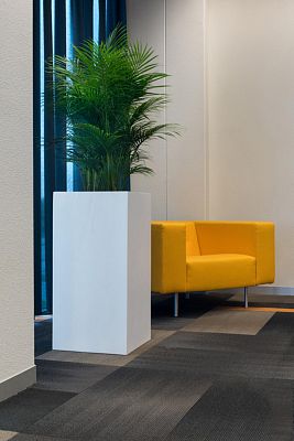 Tall Fiberstone Square Planter by Idealist Premium BOUVY