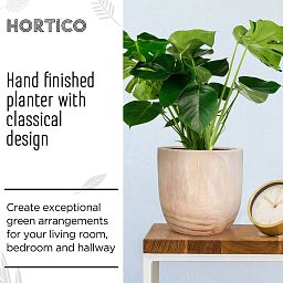 HORTICO RADIAL Wooden House Planter Round Indoor Plant Pot for House Plants with Waterproof Liner