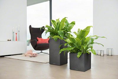 LECHUZA CANTO Stone Low Square Poly Resin Self-watering Planter