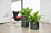 LECHUZA CANTO Stone High Square Tall Poly Resin Self-watering Planter