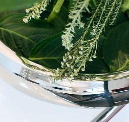 LUCIDO Stainless Steel Bowl Planter