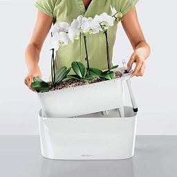 LECHUZA DELTA 10|DELTA 20 Poly Resin Indoor Self-watering Planter