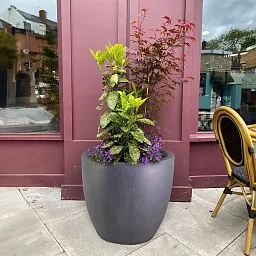 IDEALIST Lite Contemporary Light Concrete Egg Planter