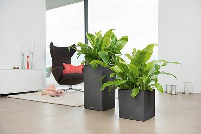 LECHUZA CANTO Stone Low Square Poly Resin Self-watering Planter Set