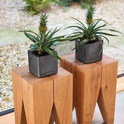 LECHUZA CUBE Glossy Square Poly Resin Indoor Self-watering Planter