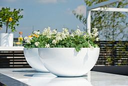 Fiberstone Glossy Dorant Planter by Idealist Premium