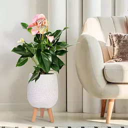IDEALIST Lite Honeycomb Style Egg Planter on Legs, Round Pot Plant Stand Indoor
