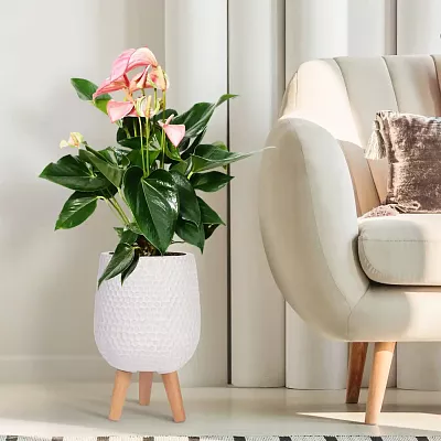 IDEALIST Lite Honeycomb Style Egg Planter on Legs, Round Pot Plant Stand Indoor
