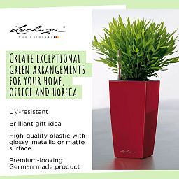 LECHUZA CUBI Square Poly Resin Indoor Self-watering Planter
