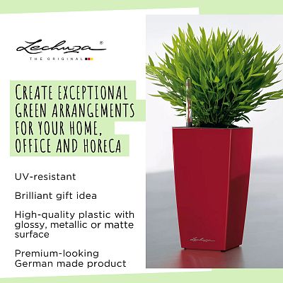 LECHUZA CUBI Square Poly Resin Indoor Self-watering Planter
