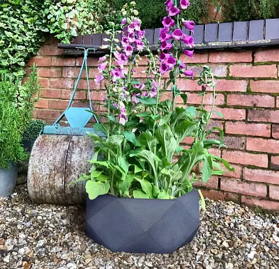 IDEALIST Lite Faceted Effect Bowl Planter Indoor Plant Pot