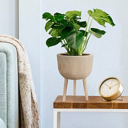 HORTICO GAIA Wooden House Planter with Legs, Tall Indoor Plant Pot Stand with Waterproof Liner