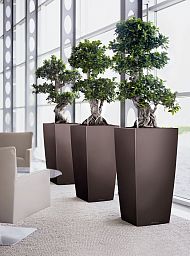 LECHUZA CUBICO Square Tall Poly Resin Self-watering Planter