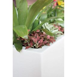 PREMIUM BLOCK Room Divider Trough Plastic Planter