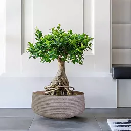 IDEALIST Lite Large Ribbed Light Concrete Bowl Planter