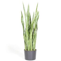SANSEVIERIA EXTRA Artificial Flower Plant