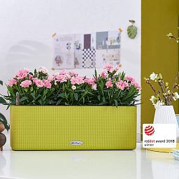 LECHUZA CUBE Color Triple Trough Poly Resin Self-watering Planter