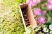 WildPod Mini 2-in-1 Outdoor Planter and Wildlife House by Bio Scapes