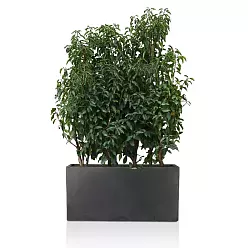 IDEALIST Lite Contemporary Light Concrete High Trough Planter IDEALIST Lite Contemporary Light Concrete High Trough Planter