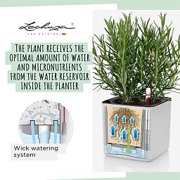 LECHUZA Green Wall Home Kit Color Indoor Self-watering Planter