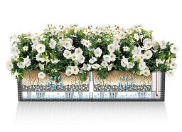LECHUZA BALCONERA Cottage Trough Poly Resin Self-watering Planter Set