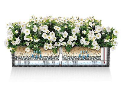 LECHUZA BALCONERA Cottage Trough Poly Resin Self-watering Planter Set