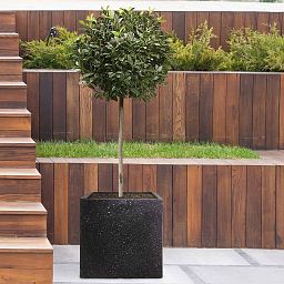 IDEALIST Lite Square Box Contemporary Marble Light Concrete Planter