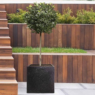 IDEALIST Lite Square Box Contemporary Marble Light Concrete Planter