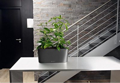 LECHUZA DELTA 10|DELTA 20 Poly Resin Indoor Self-watering Planter