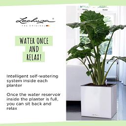 LECHUZA CANTO Low Square Poly Resin Self-watering Planter