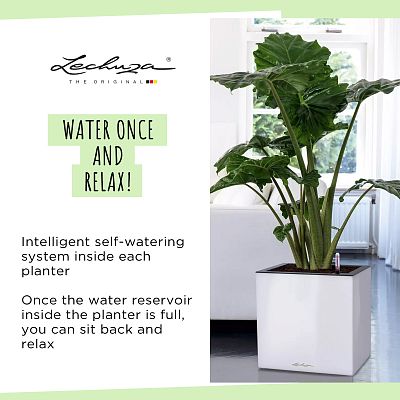 LECHUZA CANTO Low Square Poly Resin Self-watering Planter
