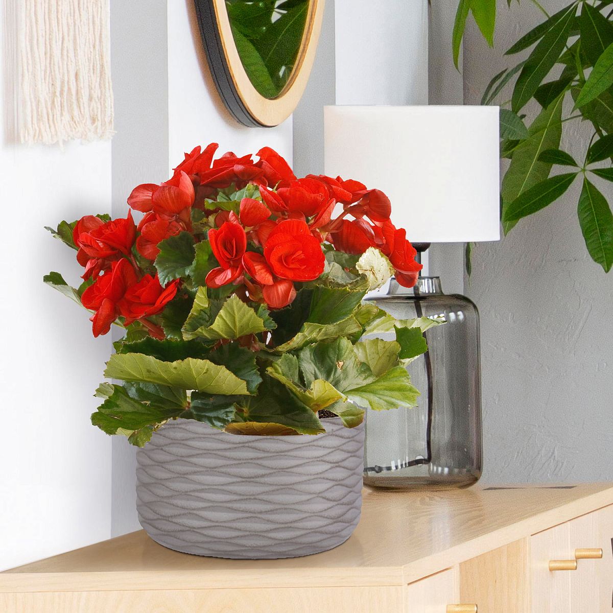 Wave Style Table and Hanging Cylinder Round Plant Pot Dual Use Indoor Planter by Idealist Lite