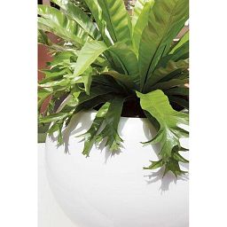 PREMIUM GLOBE Round Plastic Planter