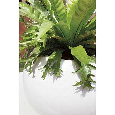 PREMIUM GLOBE Round Plastic Planter