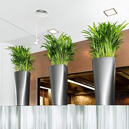 LECHUZA Delta Round Tall Poly Resin Self-watering Planter
